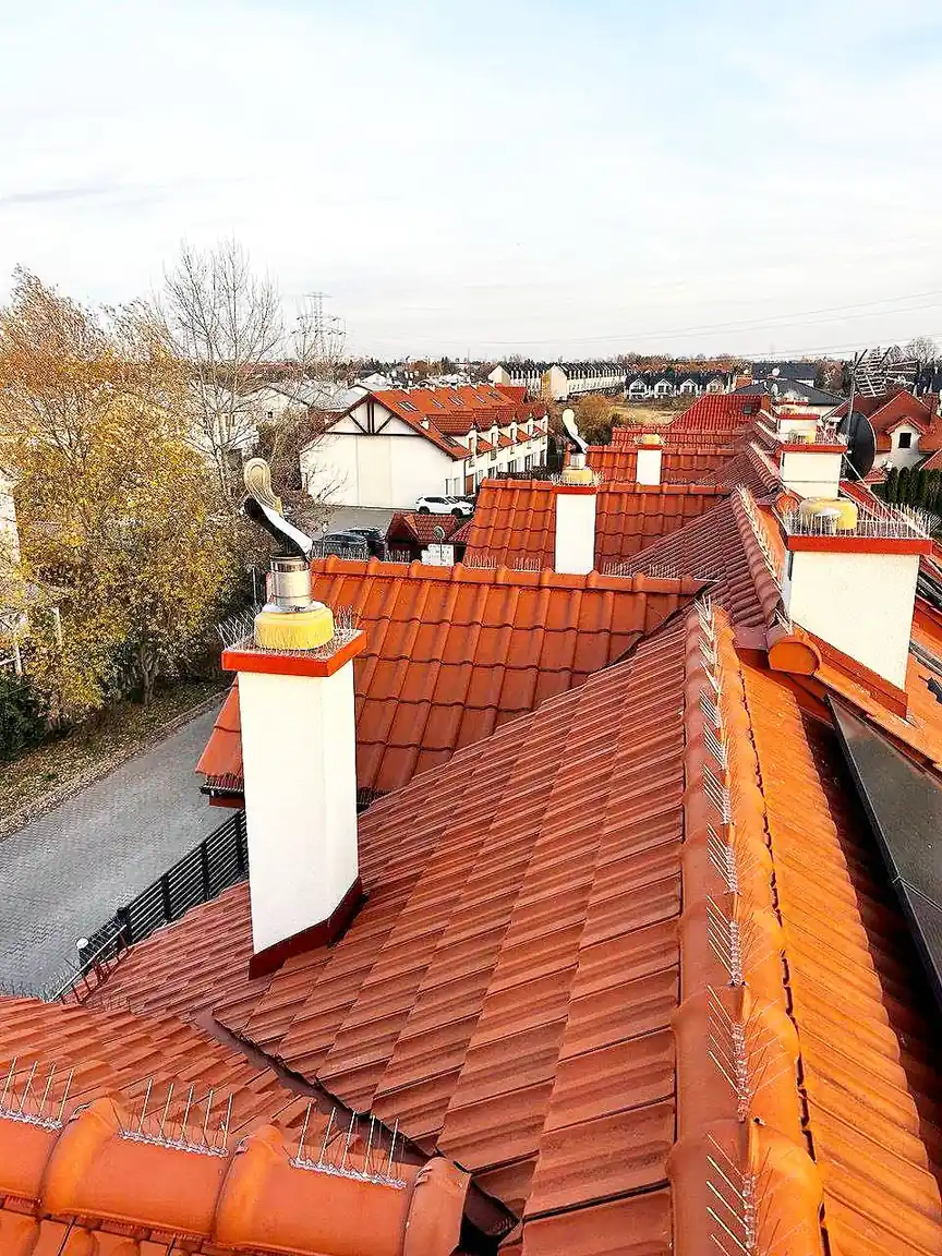 Montaż zabezpieczeń przeciw ptakom